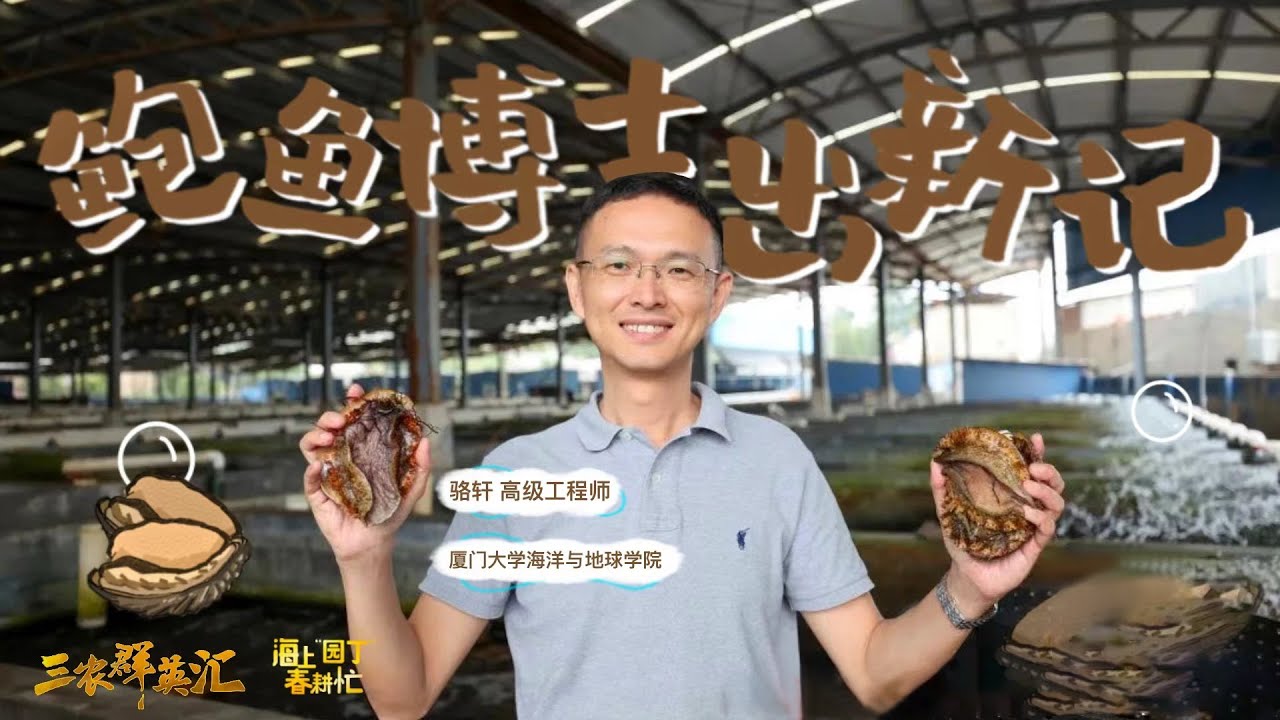 他培育出了鲍鱼新品种，让养殖户们跟着一起赚钱，从此解决了国产大鲍鱼的杂交难题！|「三农群英汇：海上&ldquo;园丁&rdquo;春耕忙」20230414