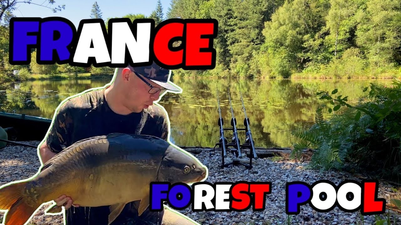 Carp Fishing in FRANCE @ Forest Pool