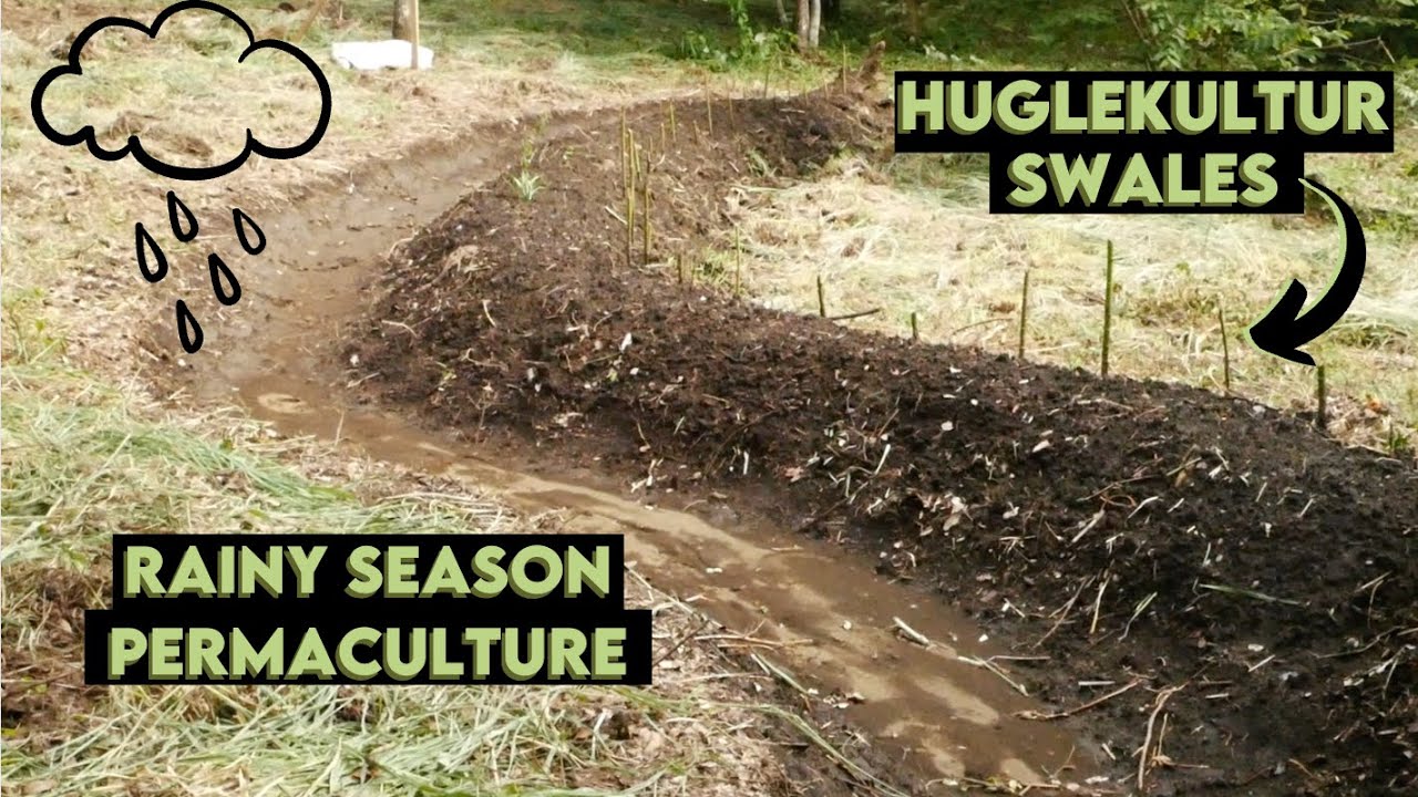 Digging Contoured Swales for Rainwater Harvest - Guanacaste, CR Homestead Year 4