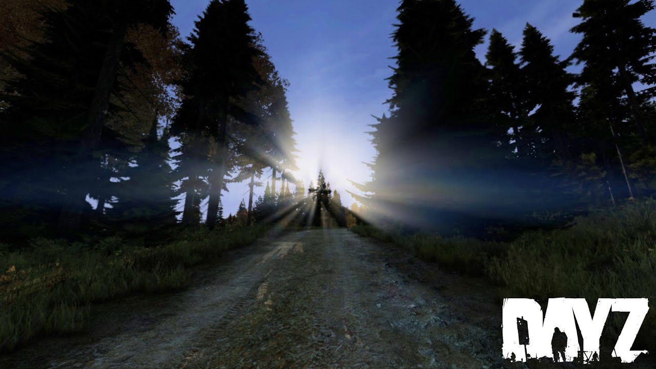 SHELTER-PVE 3 фарм
