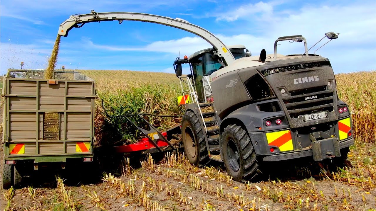 Getting that corn out the spout🌽 Micheal Vining Contracting New Zealand | The BigBlackChopper