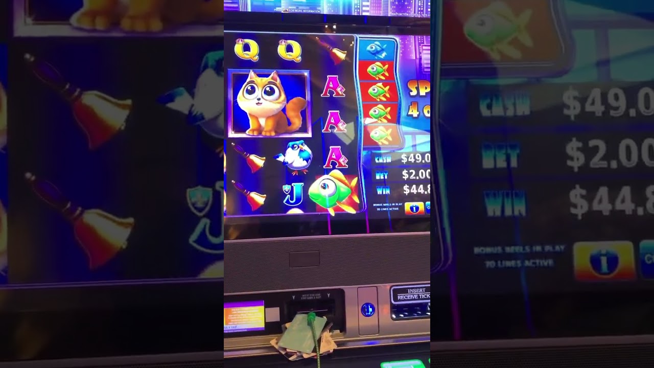 #casino