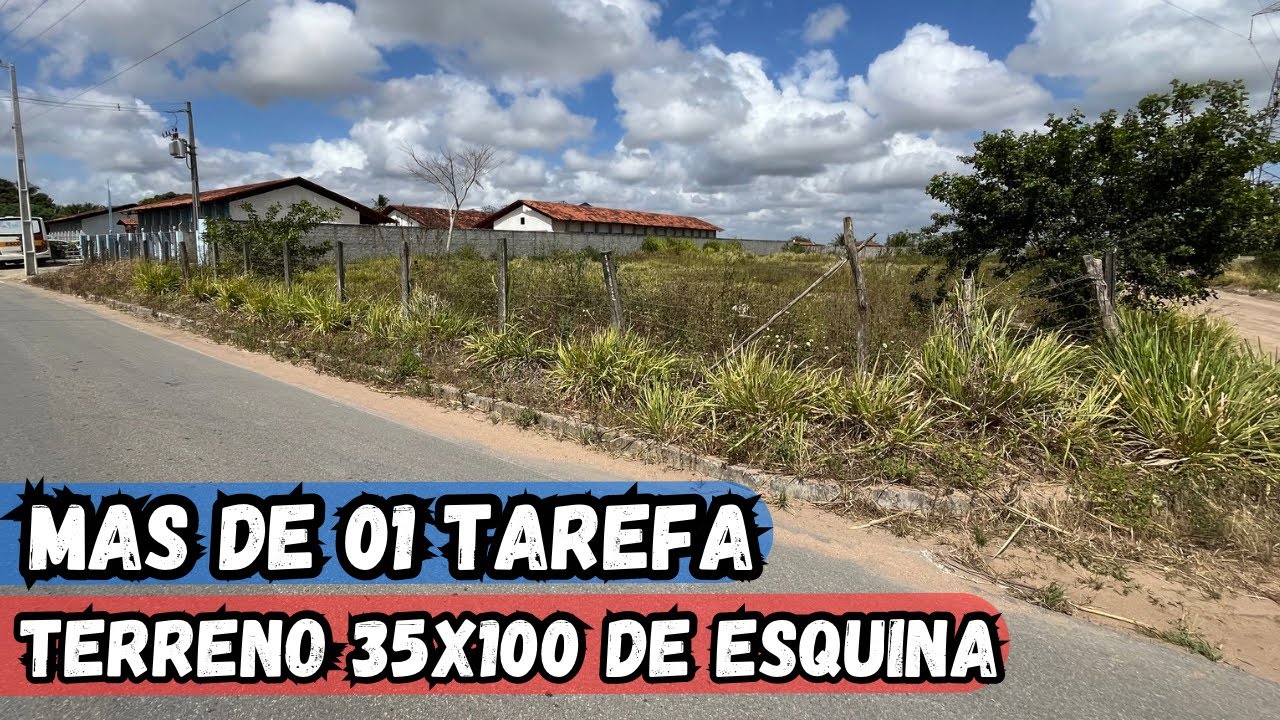 TERRENO NO SÍTIO A VENDA MAS DE 01 TAREFA DE TERRA ZONA RURAL DE JUNQUEIRO-AL #sertanejo