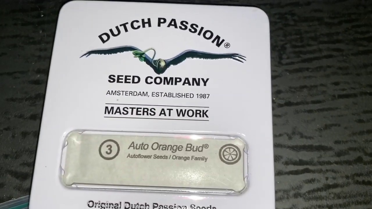 Seedsman Review #2
