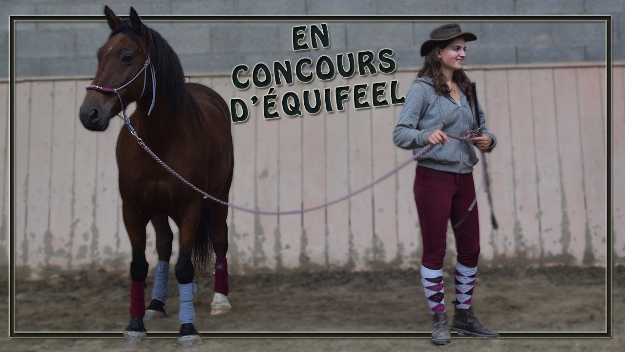 [CONCOURS] Un deuxième equifeel ... bien mieux!