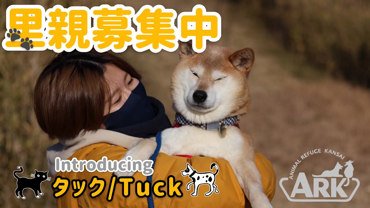 (卒業生/Alumni）タック/Tuck
