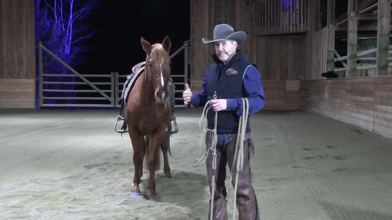 Before You Turn Your Horse Loose, Watch This - Releasing Your Horse the Right Way (Safety + Respect)