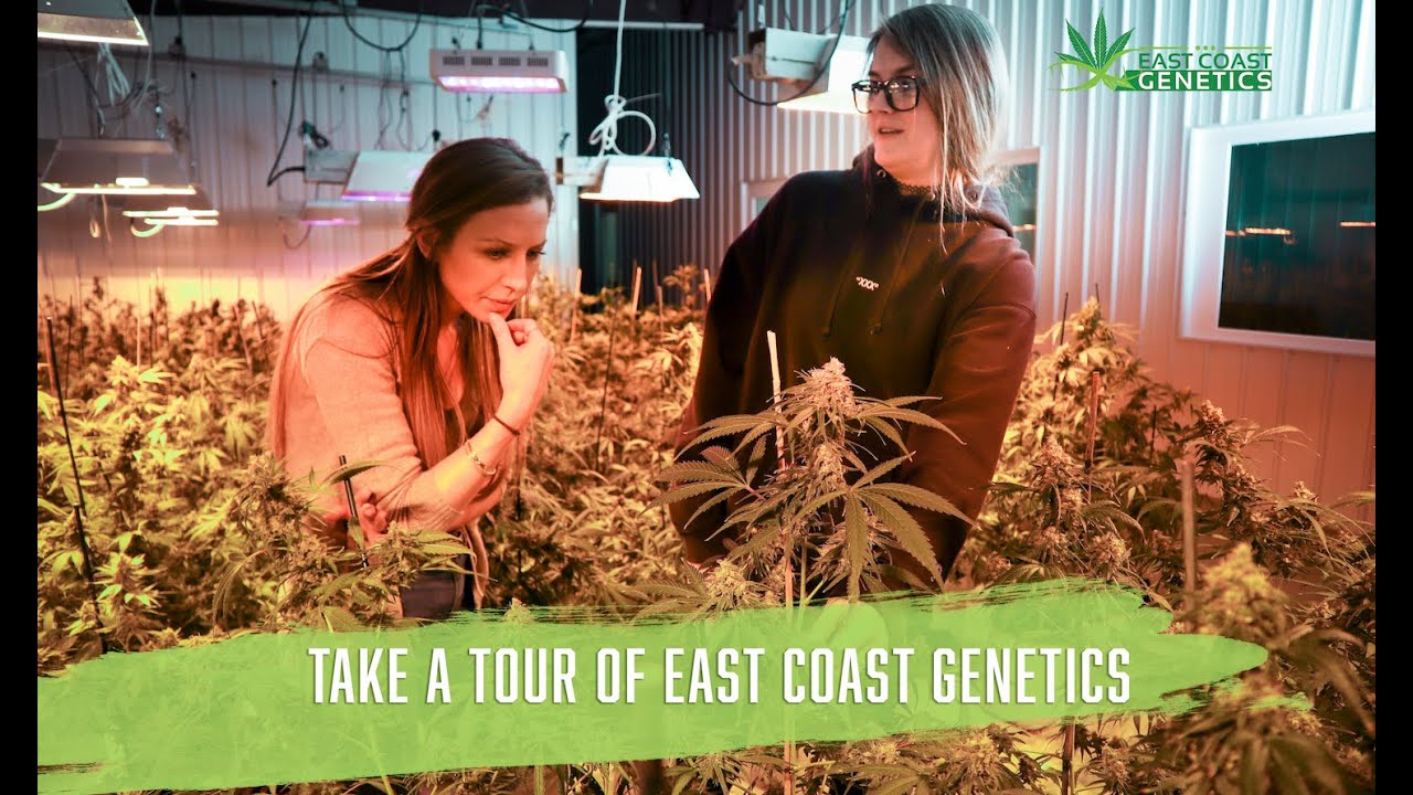 Tour of East Coast Genetics