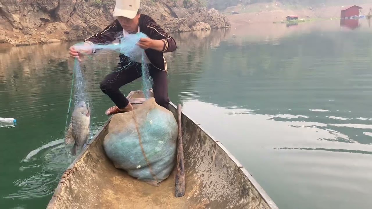 Thả lưới trên hồ Hoà Bình dính đàn cá Rô khủng