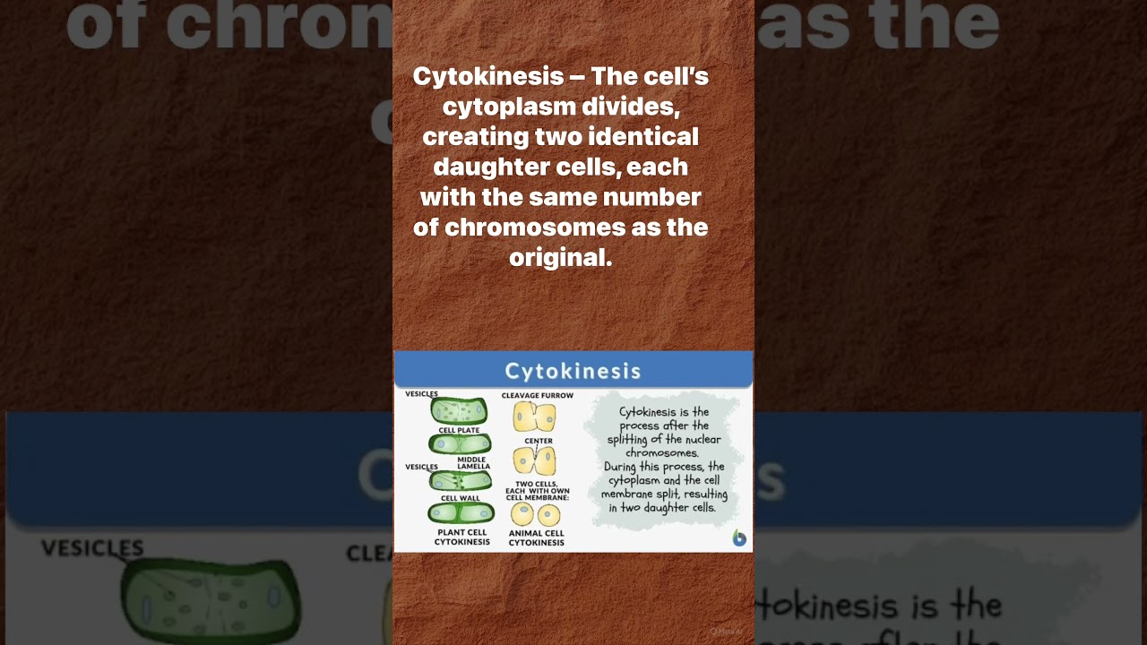 TEAS Biology prep