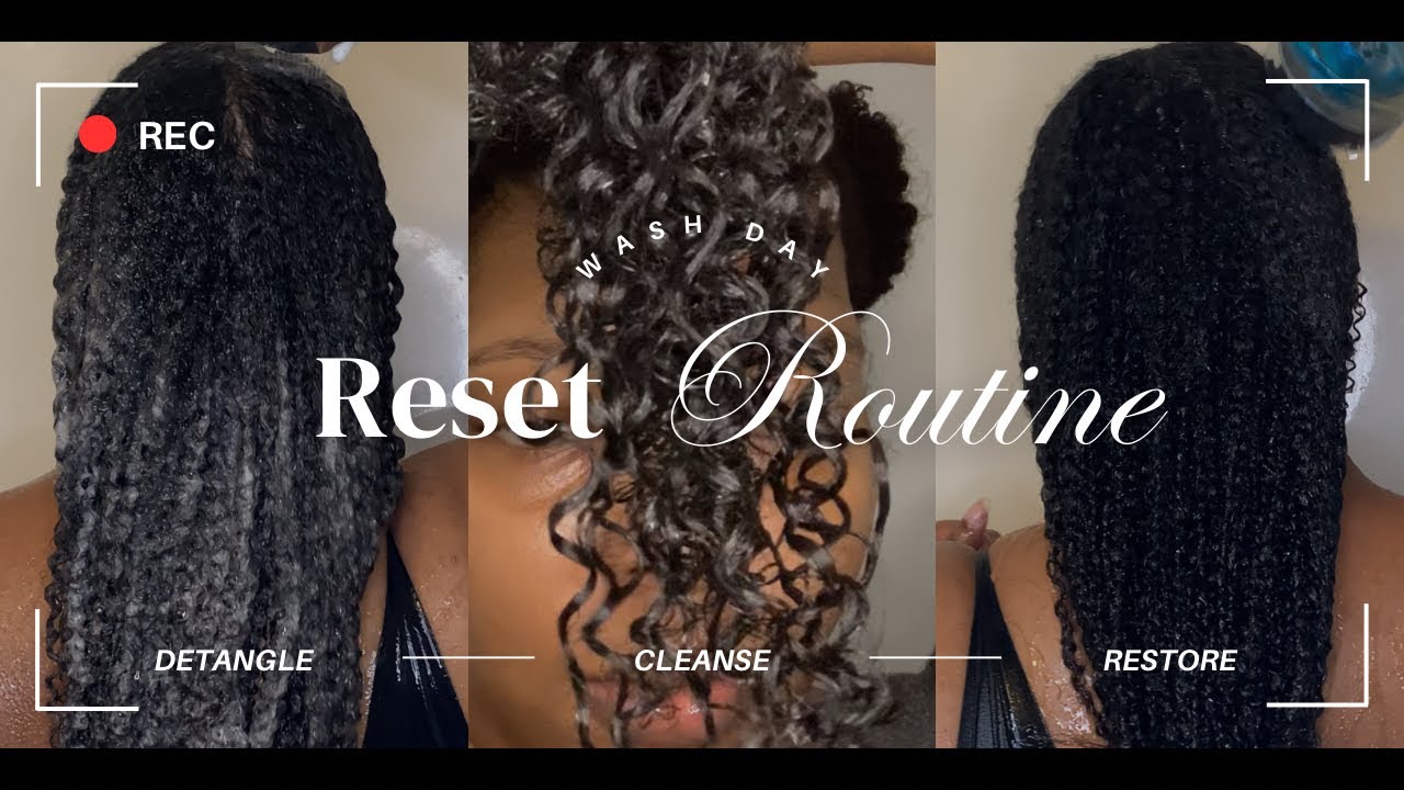 Natural Hair Wash Day Reset Using *NEW * Products