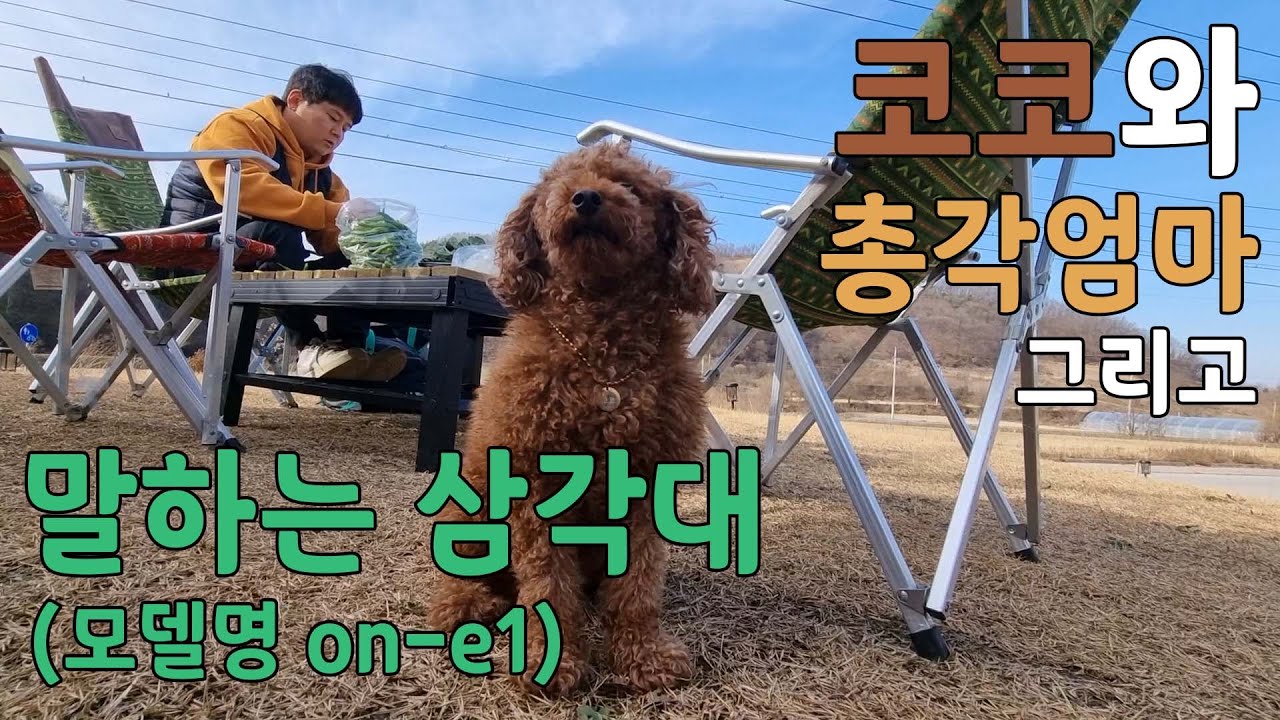 삼각대가 말을 한다? 코코와 총각엄마 그리고 말하는 삼각대