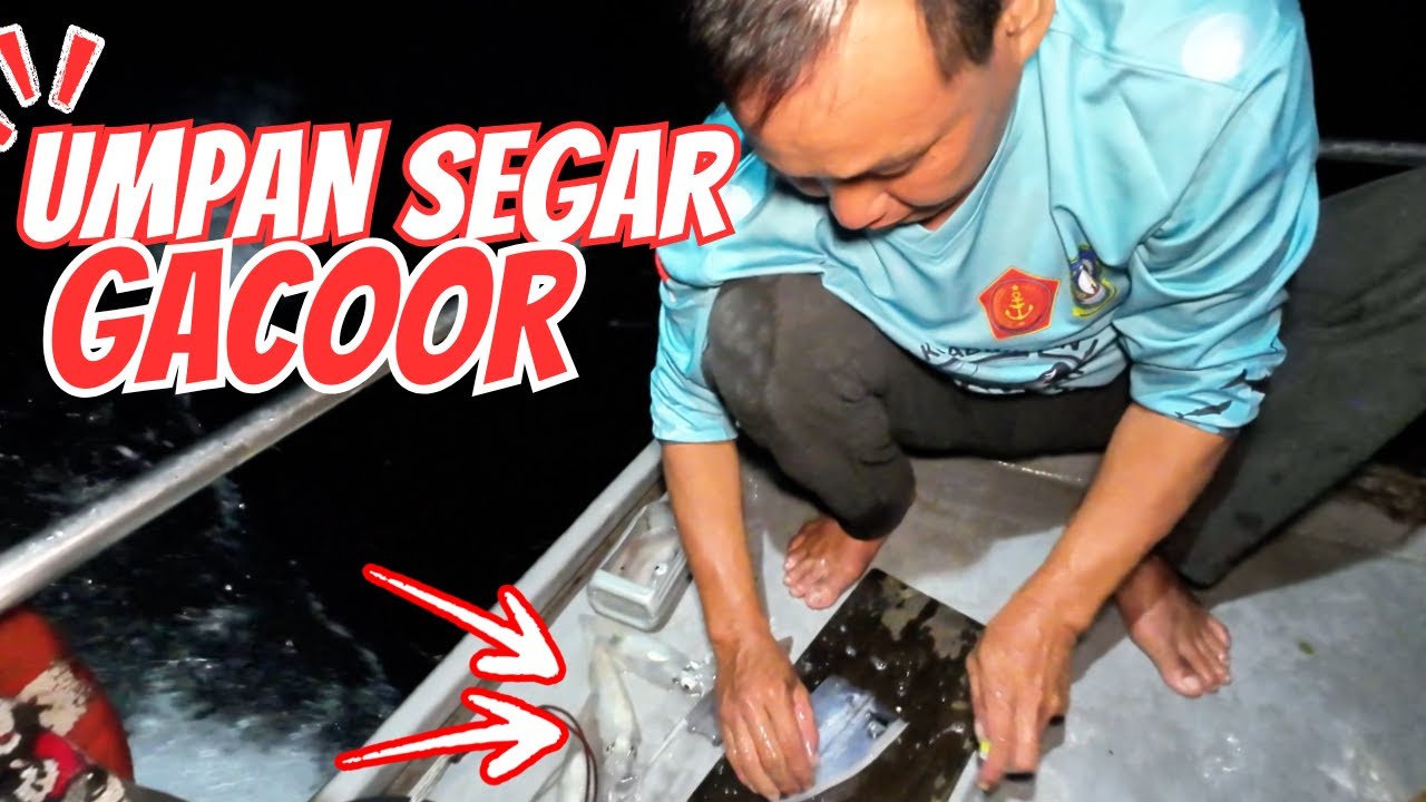 Mancing Pakai Umpan Segar‼️ Langsung dihajar Ikan Besar 
