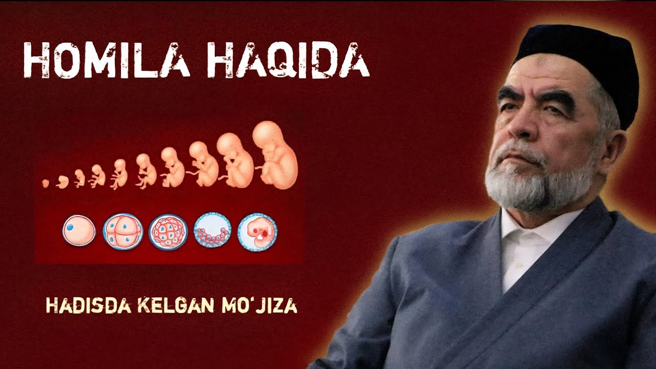 HOMILA RIVOJLANISH TARTIBI. HADISDAGI MO‘JIZA. SHAYX MUHAMMAD SODIQ MUHAMMAD YUSUF 