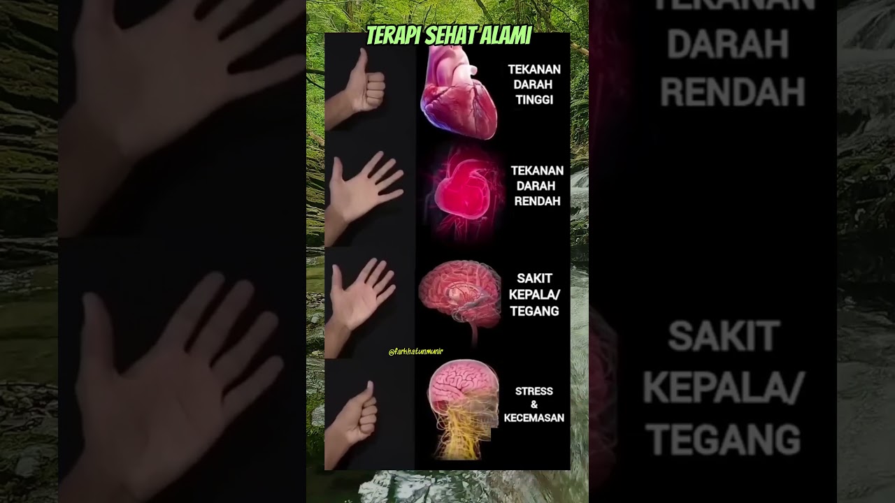 Terapi Sehat Alami #edukasi #motivasi #reminder #quotes #shortvideo #masukberanda #sehatalami