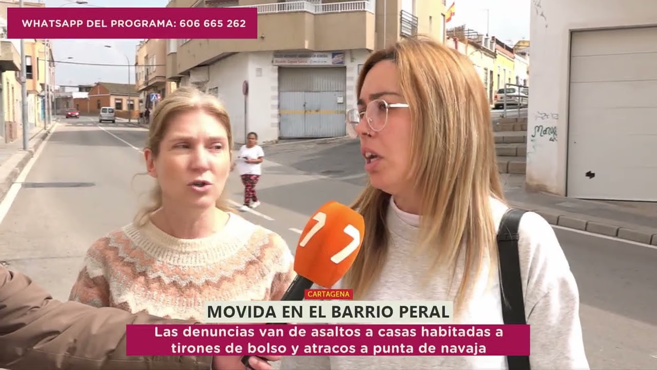 LA BANDA DE LADRONES DE BARRIO PERAL