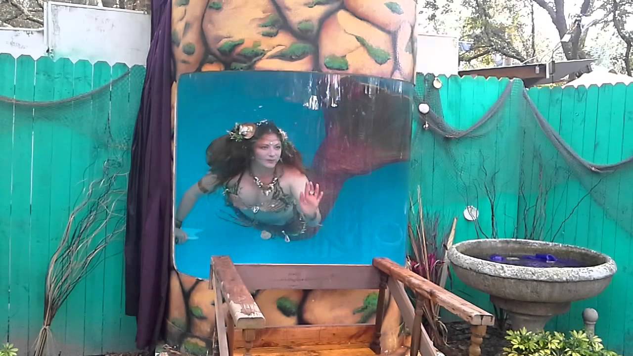 Mermaid Star at barf