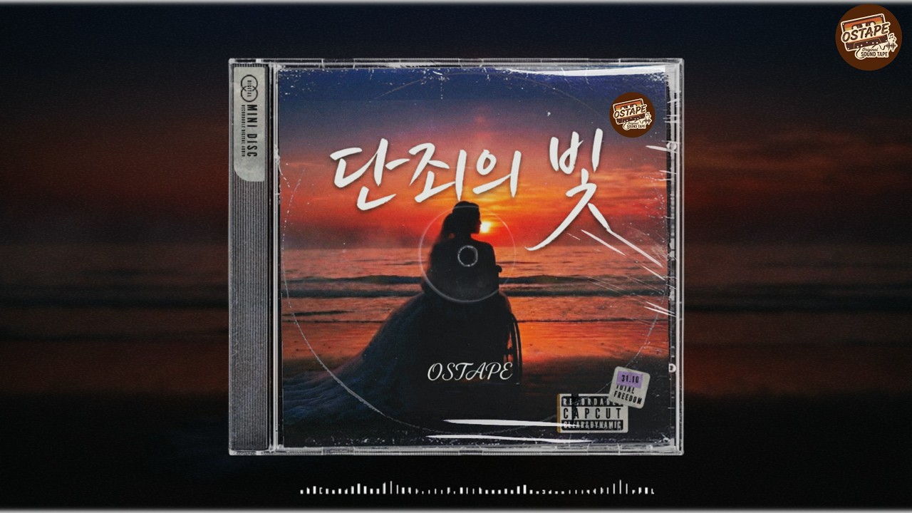 [단죄의 빛](휠체어 탄 신부의 복수 OST)断罪の光 - 車椅子の新婦の復讐 OST#ost #music #kpop #신곡