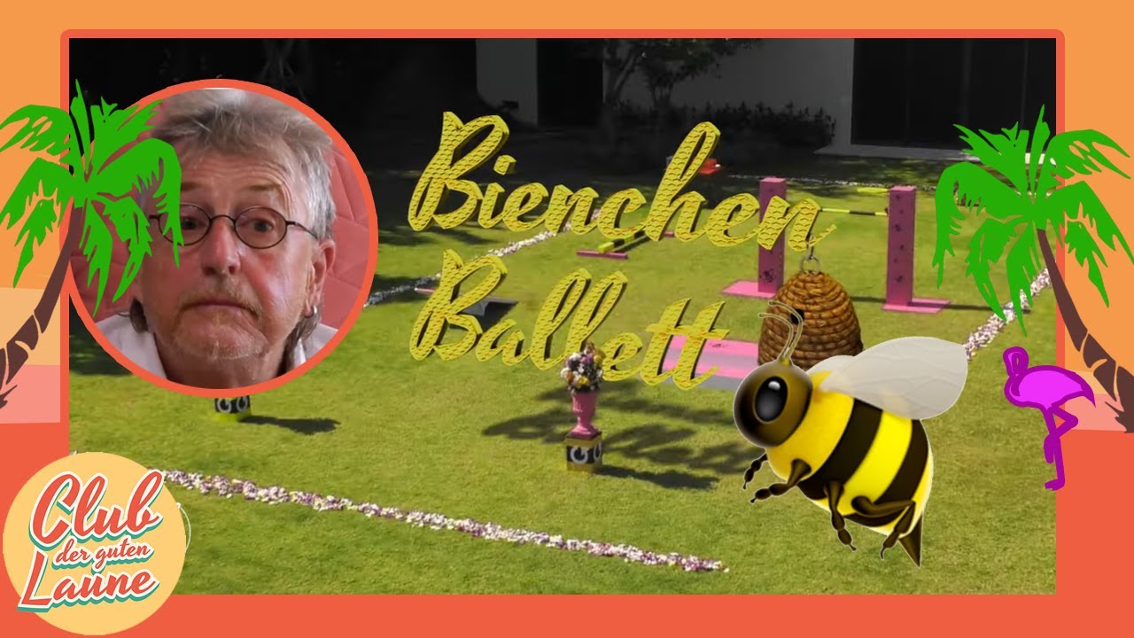 Bienchen Ballett: Welche fleißige Biene wird neuer Clubchef? | Club der guten Laune | SAT.1