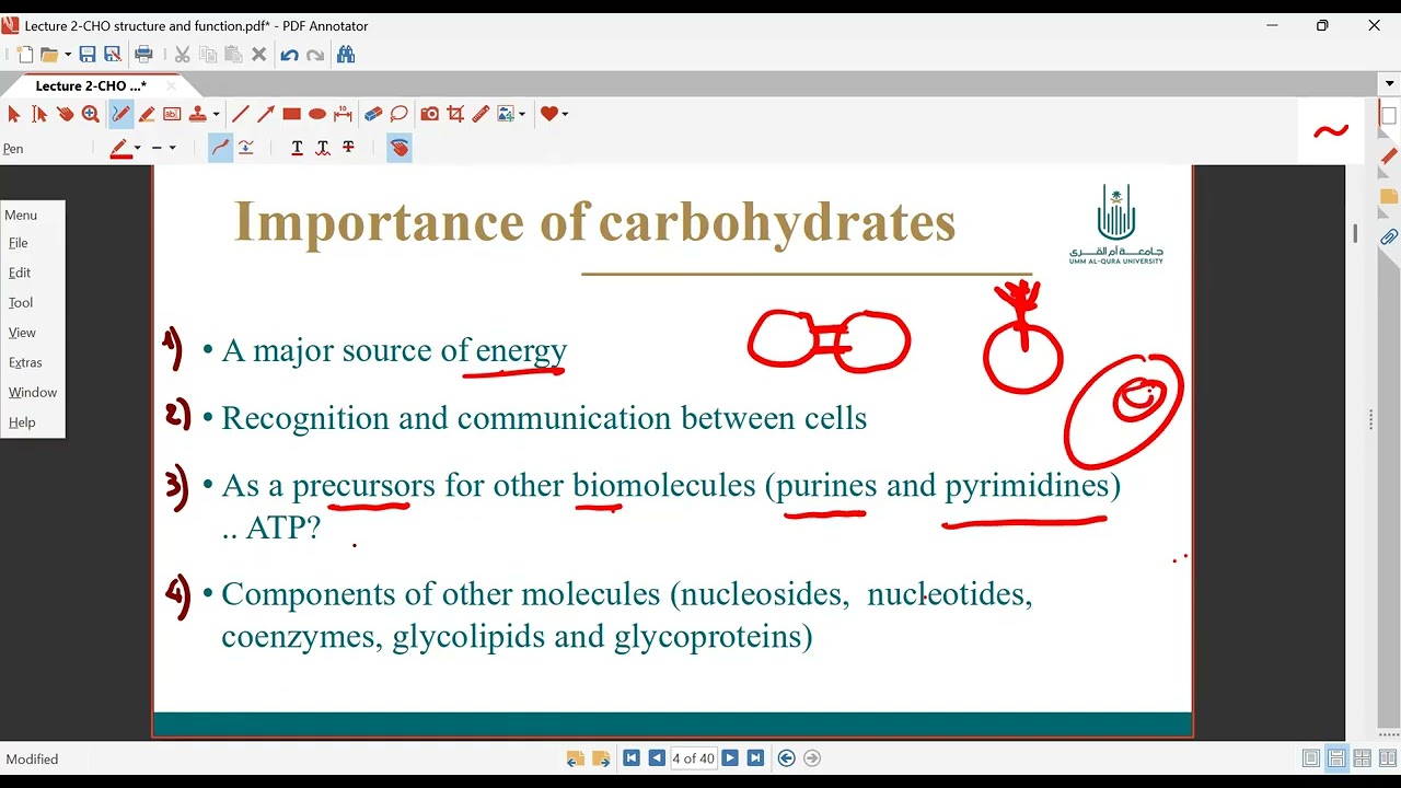 biochemistrry AMS umm alqura تجريبي