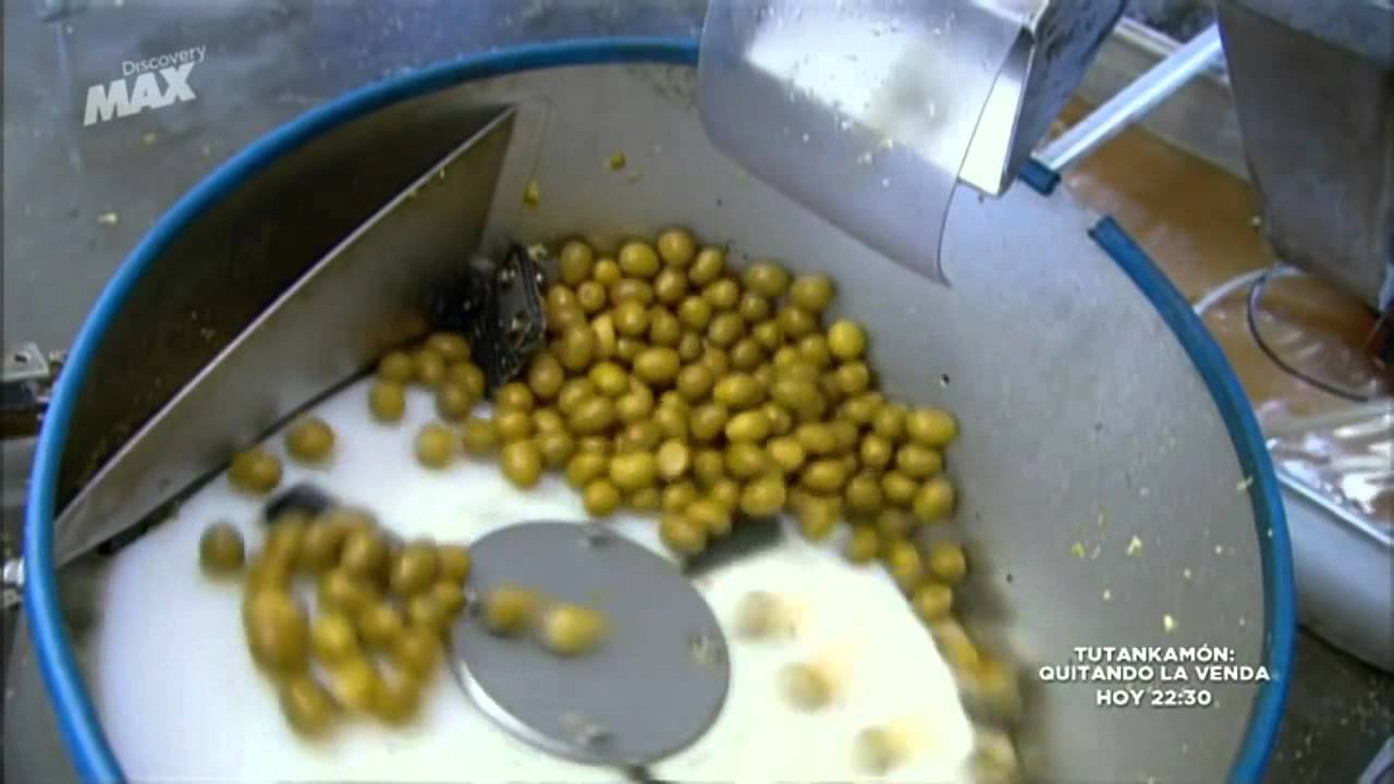 Asi se hace Las aceitunas