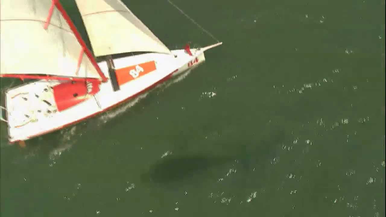 Spirit of Canada Vendee Globe Video