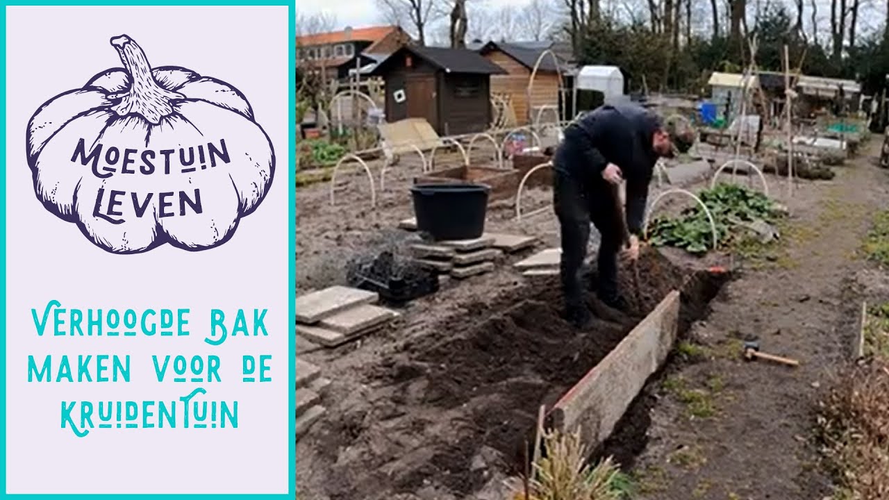 Kruidentuin verhoogde bak maken op de moestuin 🌱 Moestuinleven 🌱