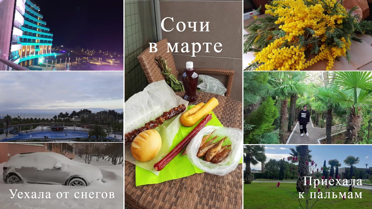 ОТПУСК В СОЧИ🌿 МАРТ 2026❤️ ПОКУПКИ С РЫНКА💰 ОСОБЕННОСТИ ОТДЫХА в Сочи 🙈 КАК ВЫ ЗАСЫПАЕТЕ В ОТЕЛЯХ ⏰