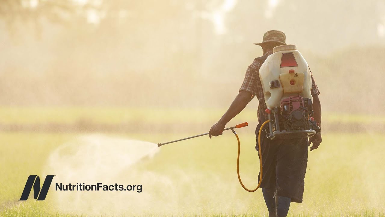 Pesticides and Cancer Risk