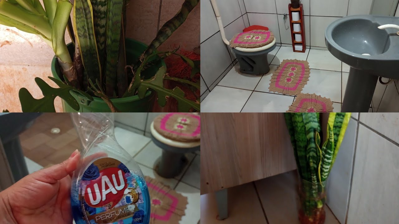 faxinei meu banheiro e lavanderia 🥳🥳 mostrei minhas plantinhas q achei 