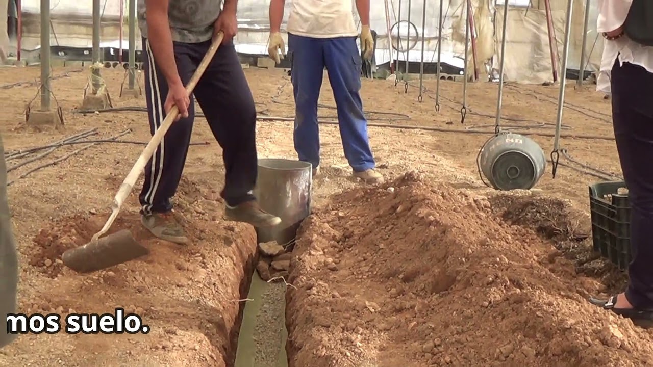 Elaboración de lisímetro
