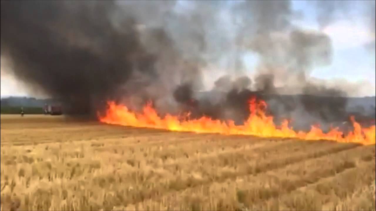 Neuried: Flammenmeer breitet sich auf Feld aus