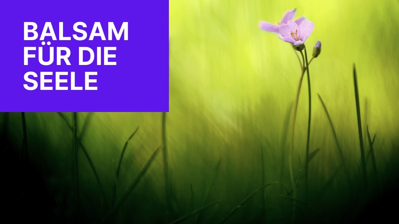 Sprüche für die Seele - Aufbauende und wohltuende Zitate und Weisheiten für deinen Seelenfrieden