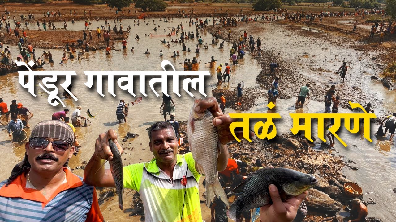 तळ्यातील मासेमारी | पेंडूर गावतील तळे मारण्याची पद्धत