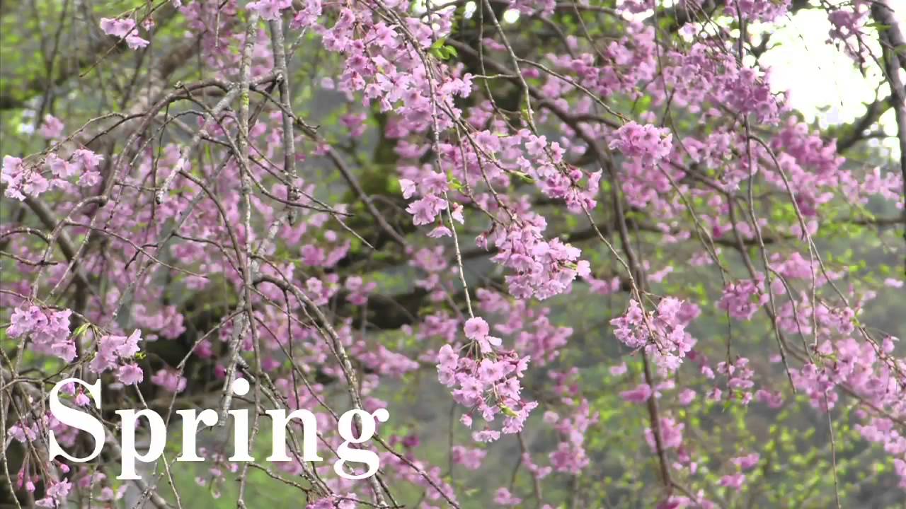 本山町の紹介 春篇 2015