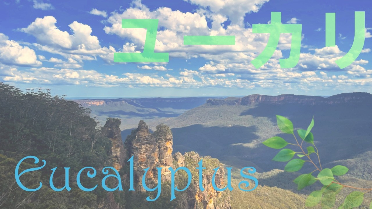 【音も香る / 第二章】ユーカリ｜深呼吸｜クリスタルボウル瞑想音楽 | Eukalyptus | Deep breath