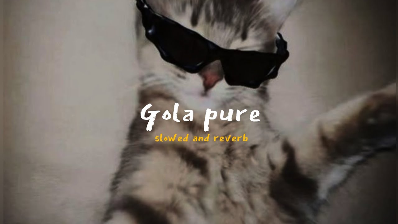 Gola pure ( ගෝල පුරේ ) slowed + reverb tiktok viral song 