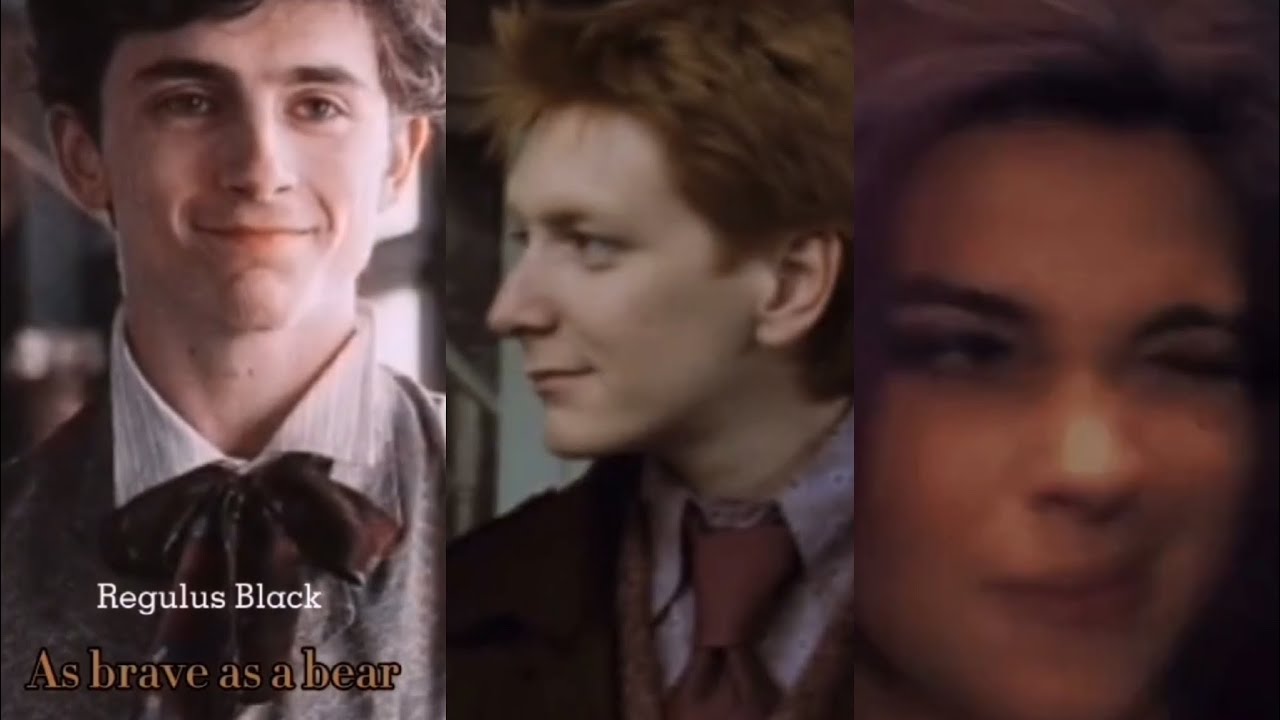 harry potter tiktoks that made harry and ron switch soulmates /j