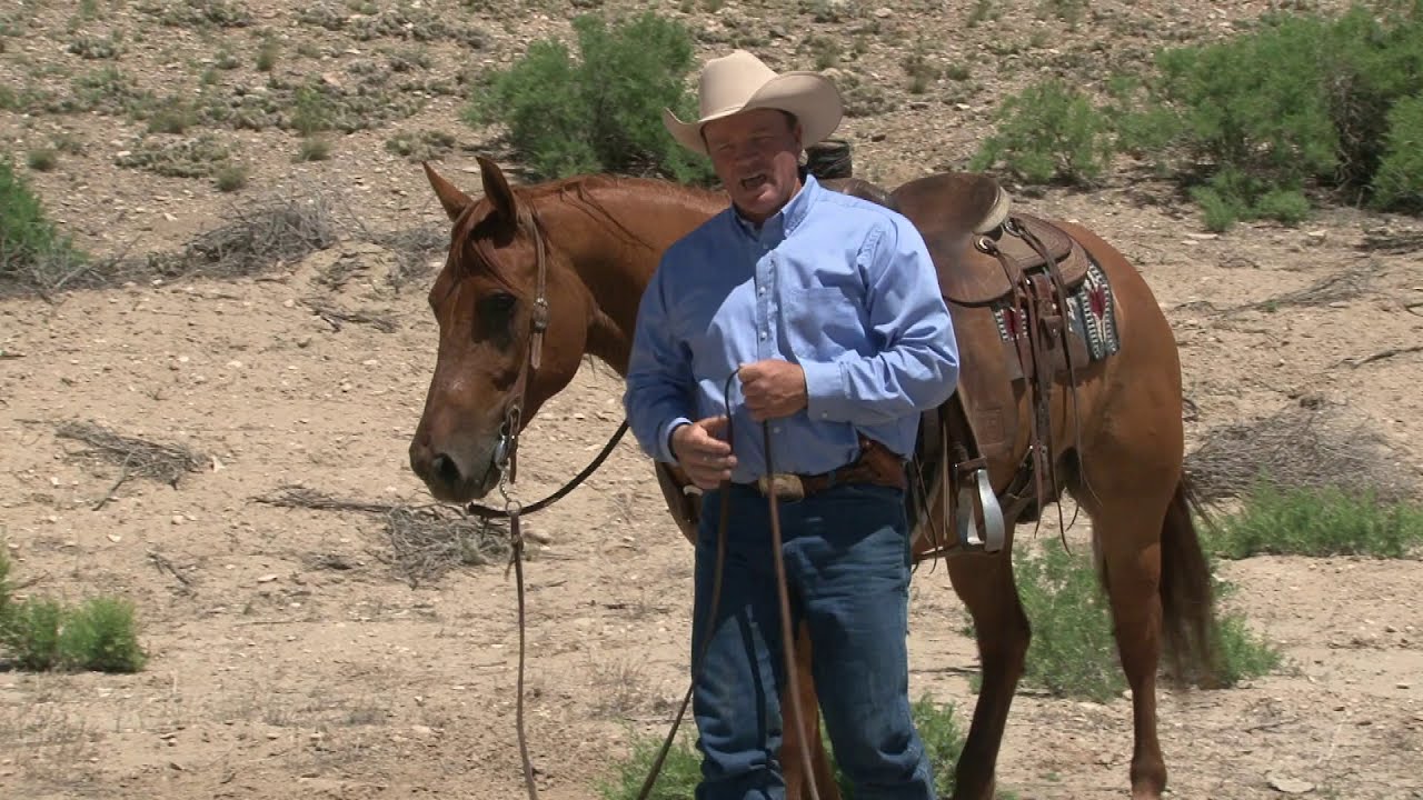 Ken McNabb: Extreme Trail Riding - Uphill & Downhill