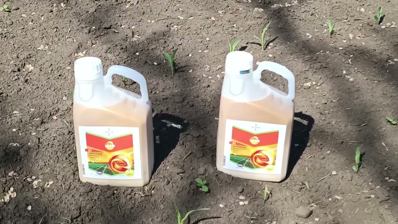 KRAJ KUPOVINE BEZ PAPIRA -SERTIFIKAT POSTAJE OBAVEZAN ZA PESTICIDE I SUBVENCIJE