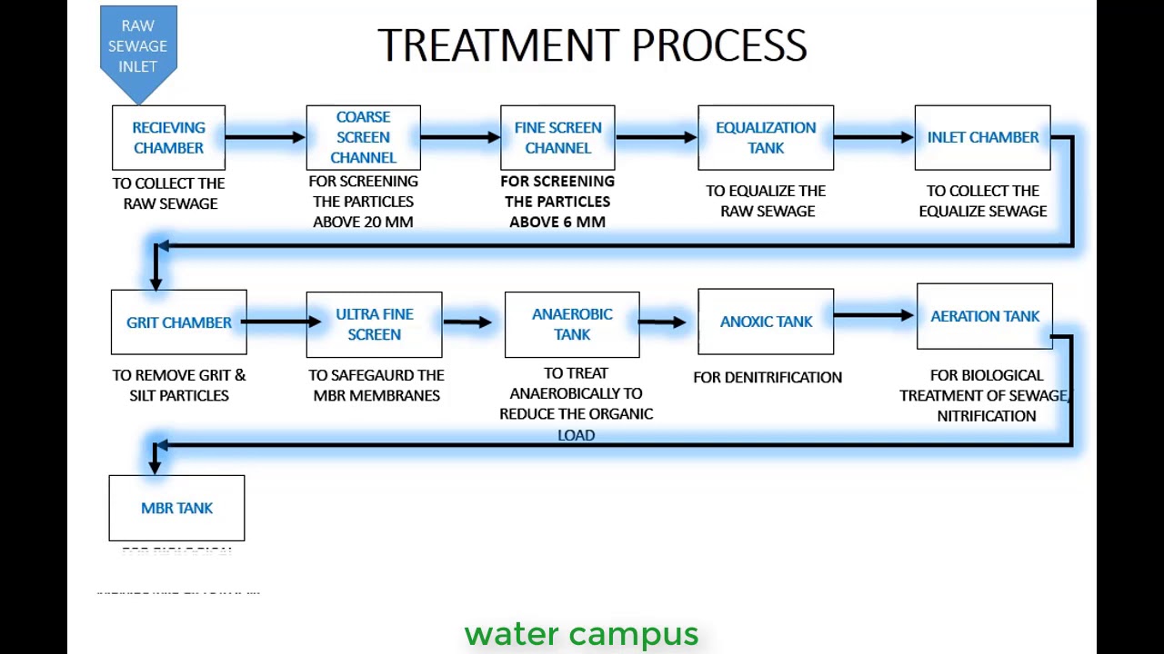 STP Treatment process in Animation