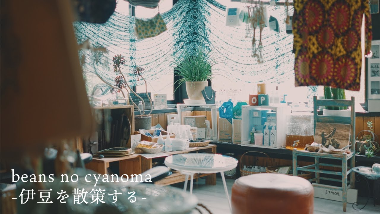 伊豆で見つけた素敵なお店をご紹介｜See The Forest｜八幡宮来宮神社｜Lolo Sitoa(ロロシトア)
