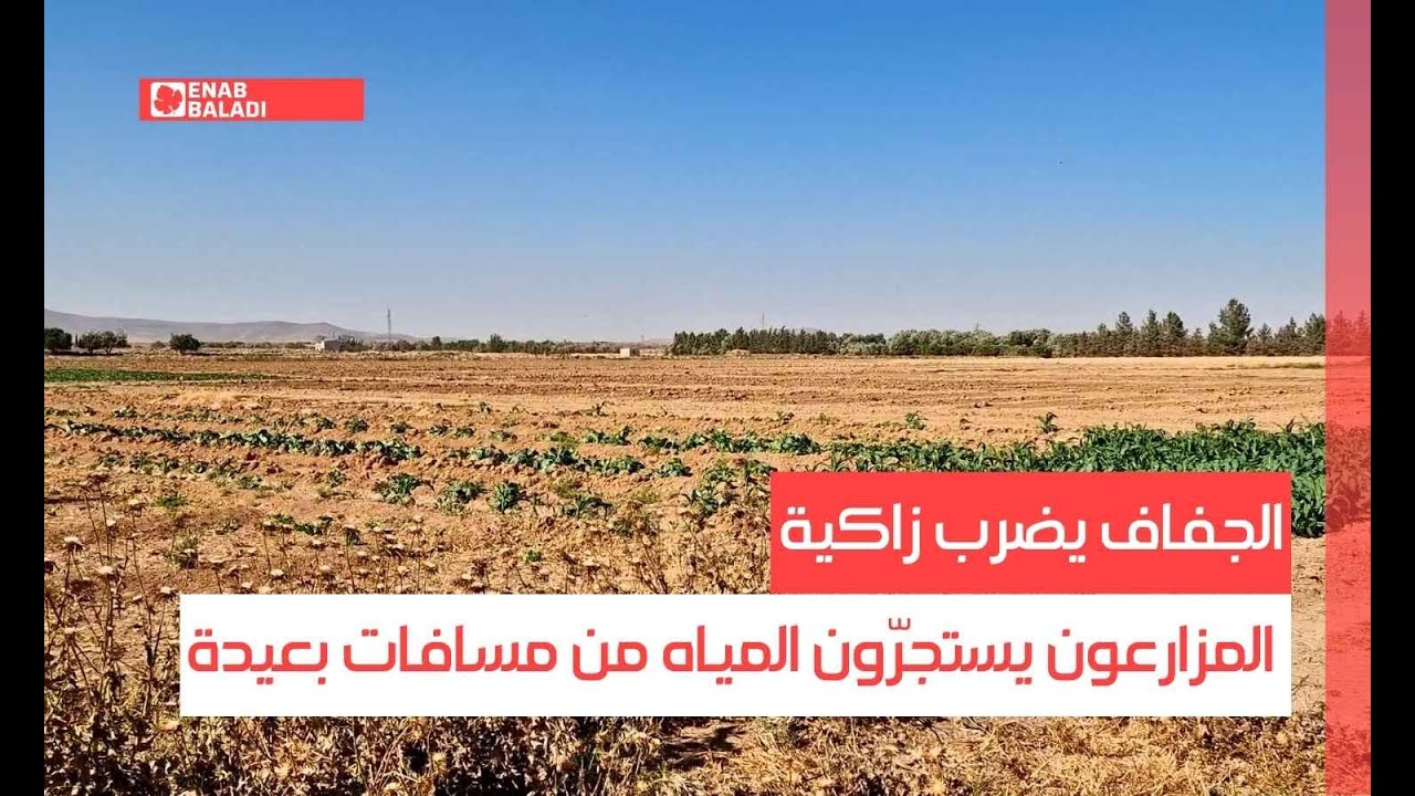 الجفاف يضرب زاكية بريف دمشق.. المزارعون يستجرّون المياه من مسافات بعيدة