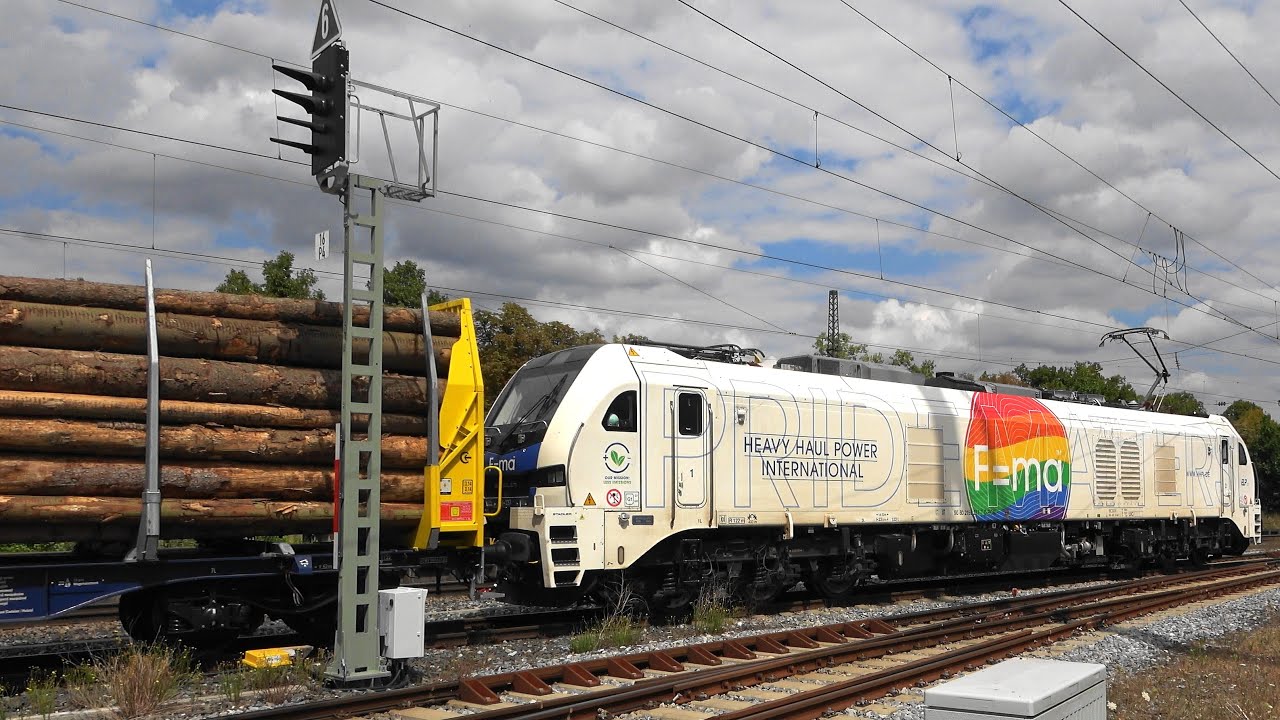 💪Endlich❗STADLER EuroDual BR159 der HHPI mit Holzzug in Neustadt Aisch erwischt!