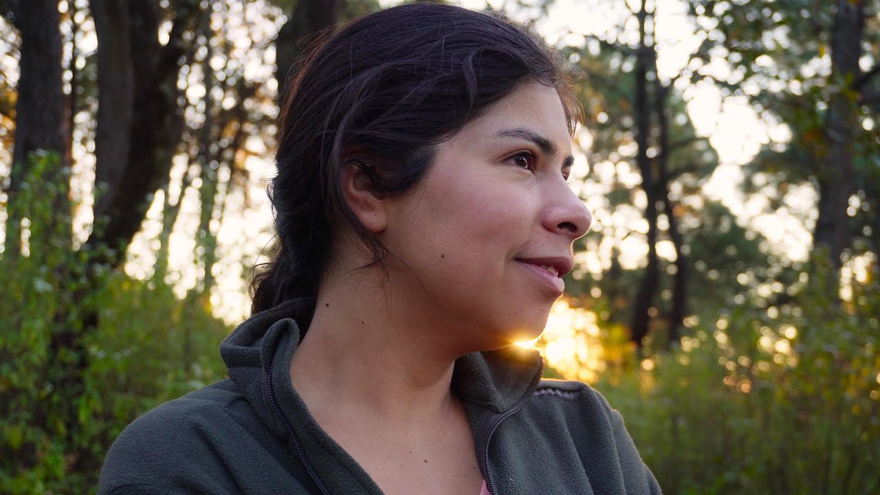 ¡Por fin me mudé junto al bosque! | En búsqueda de una vida libre en México Ep. 35