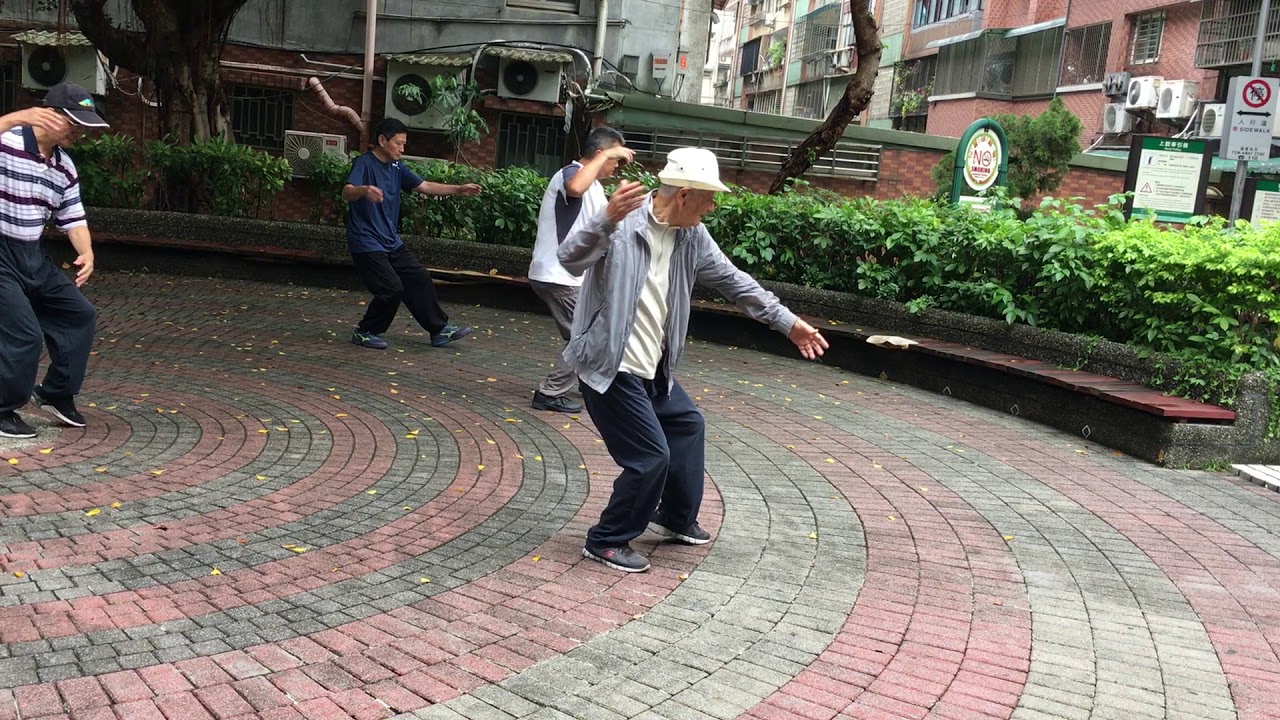 1071015陳傳龍老師拳架影片