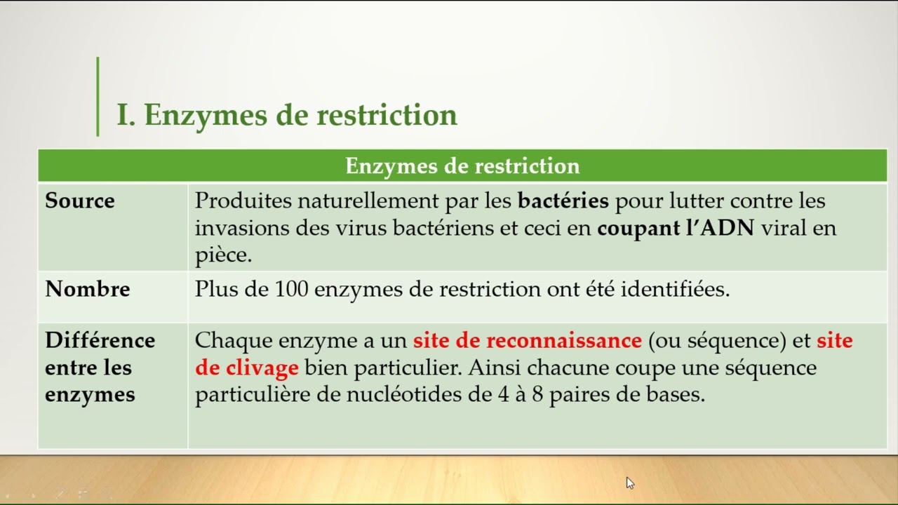 Les enzymes de restricition - SV- Chapitre 3 -Document 4