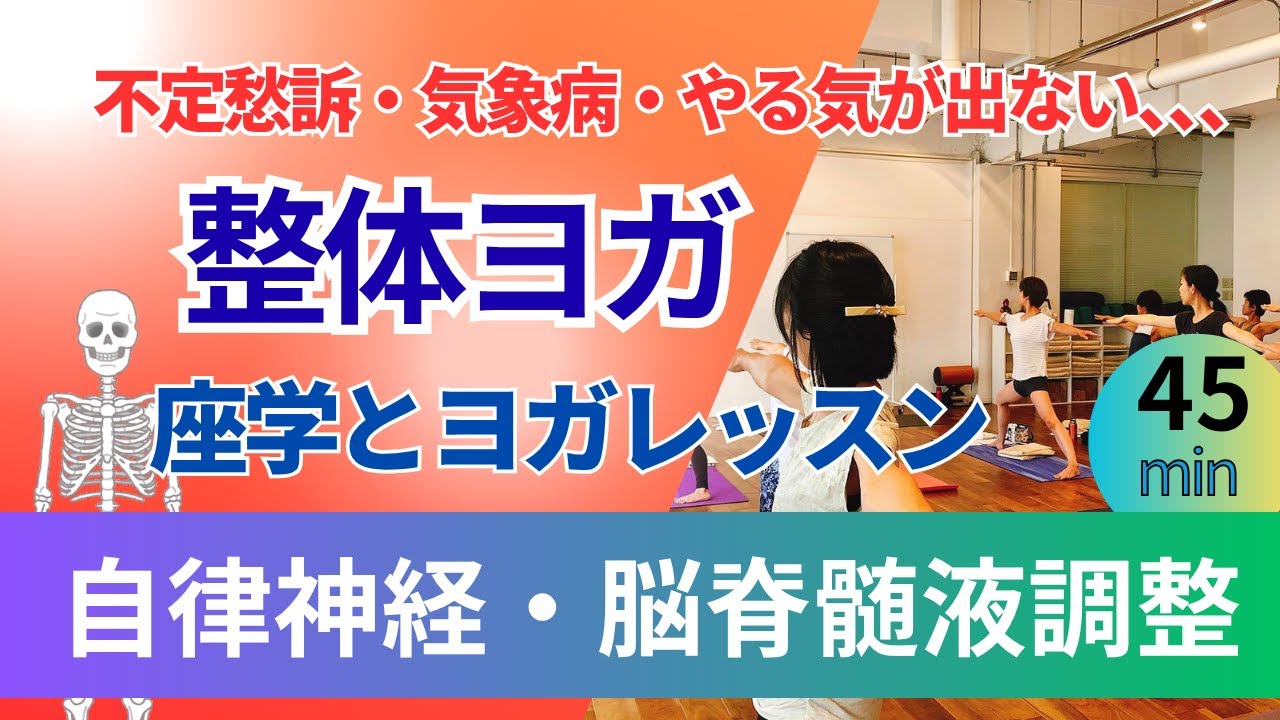 整体ヨガ「脳脊髄液」座学とレッスン