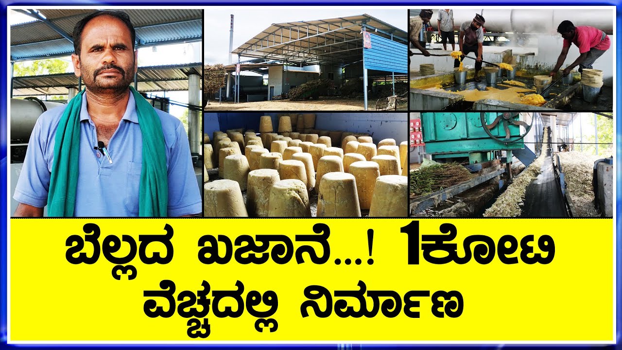 ಬೆಲ್ಲದ ತಯಾರಿ  ಬಕೆಟ್ ಬೆಲ್ಲಕ್ಕೆ ಭಾರಿ ಬೇಡಿಕೆ  ಬೆಲ್ಲದ ಕಾರ್ಖಾನೆ