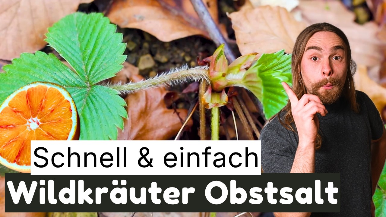 Diese Wildkr&auml;uter wachsen JETZT &uuml;berall &ndash; und kaum jemand nutzt sie!